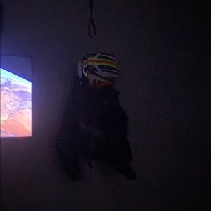 Meet your Posher, Stephen